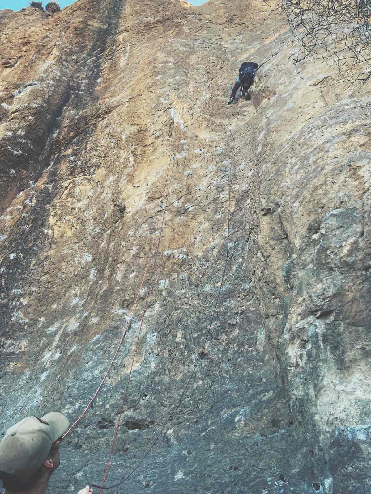 Topo