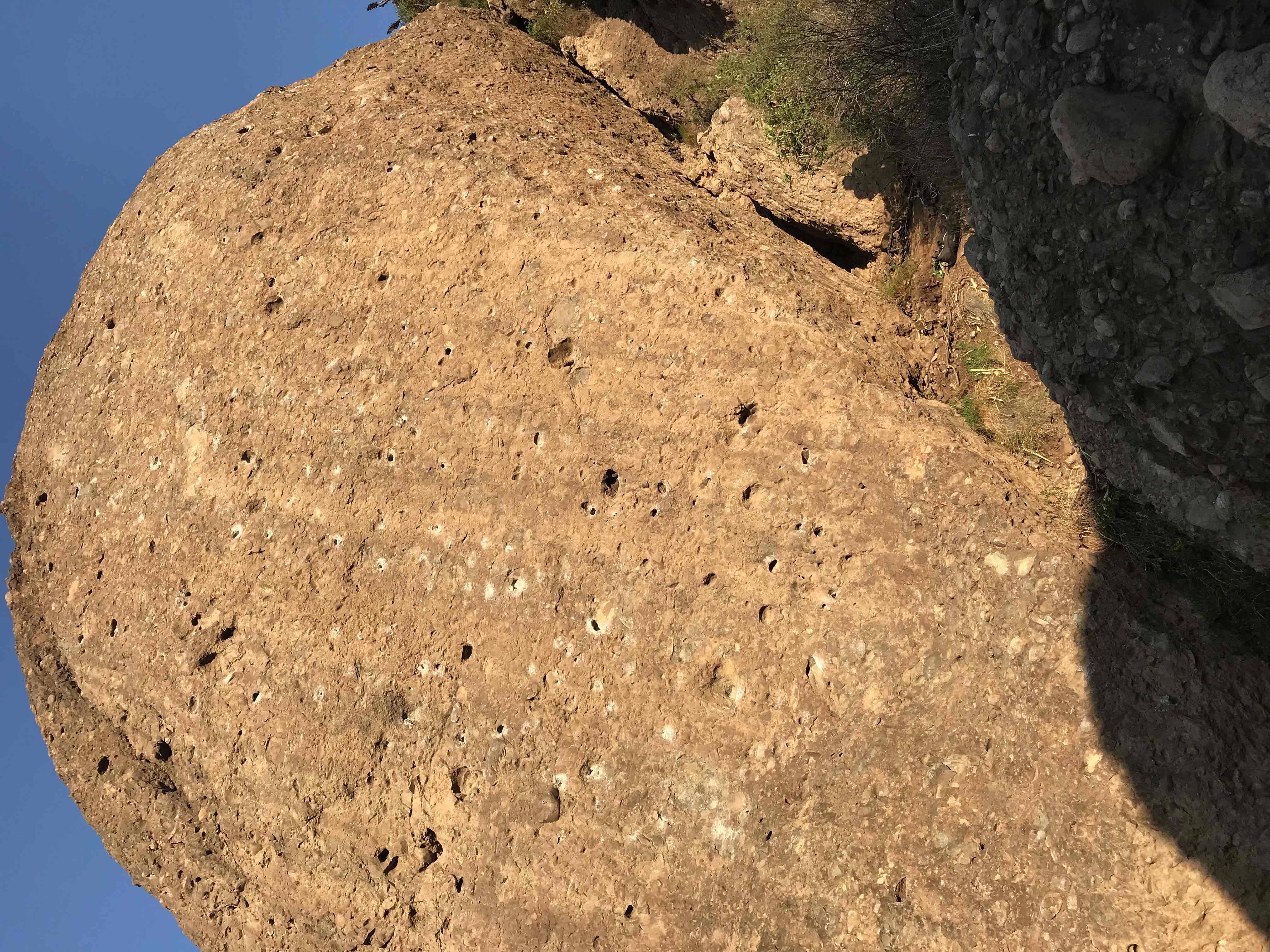 Topo