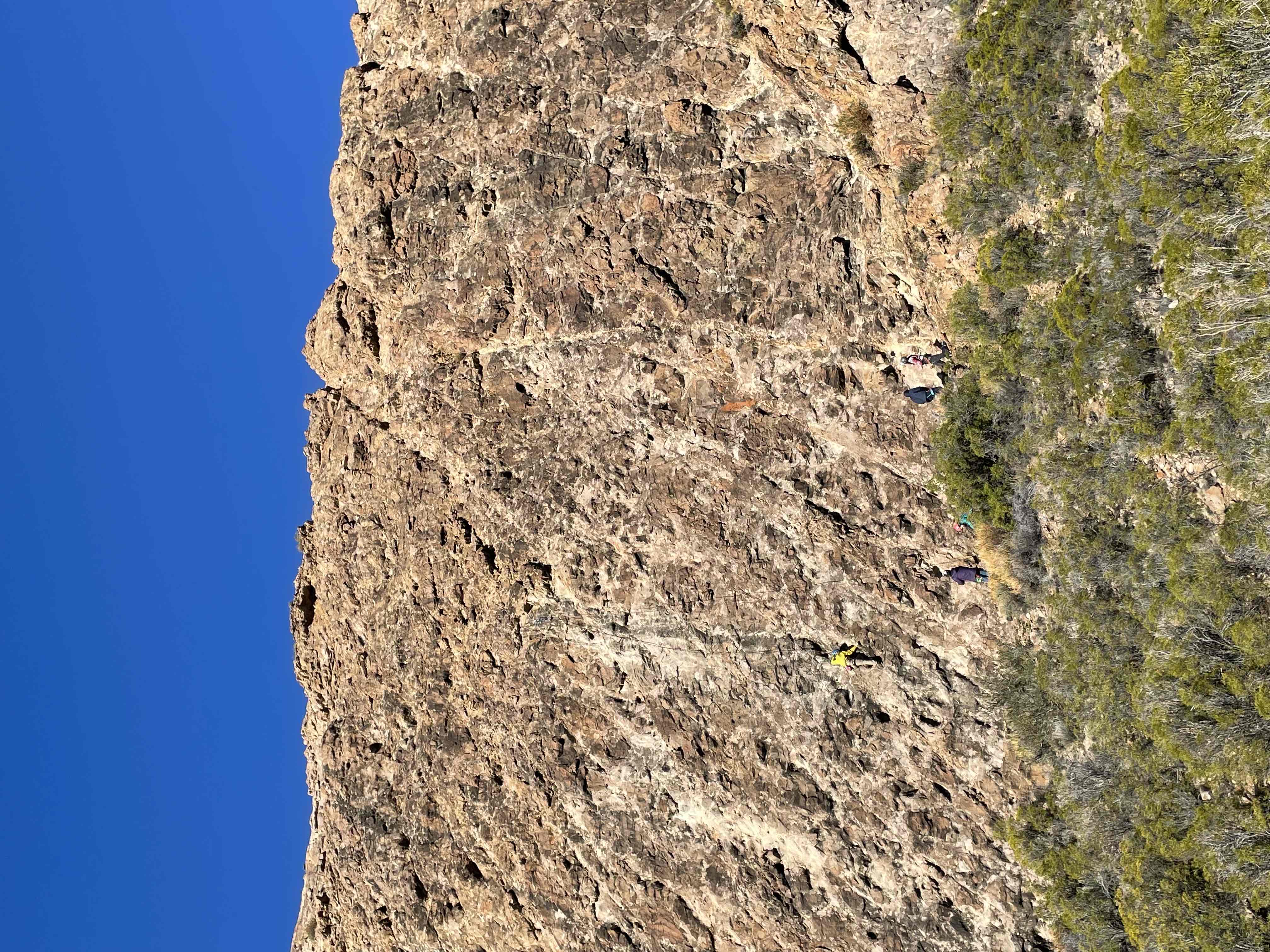 Topo