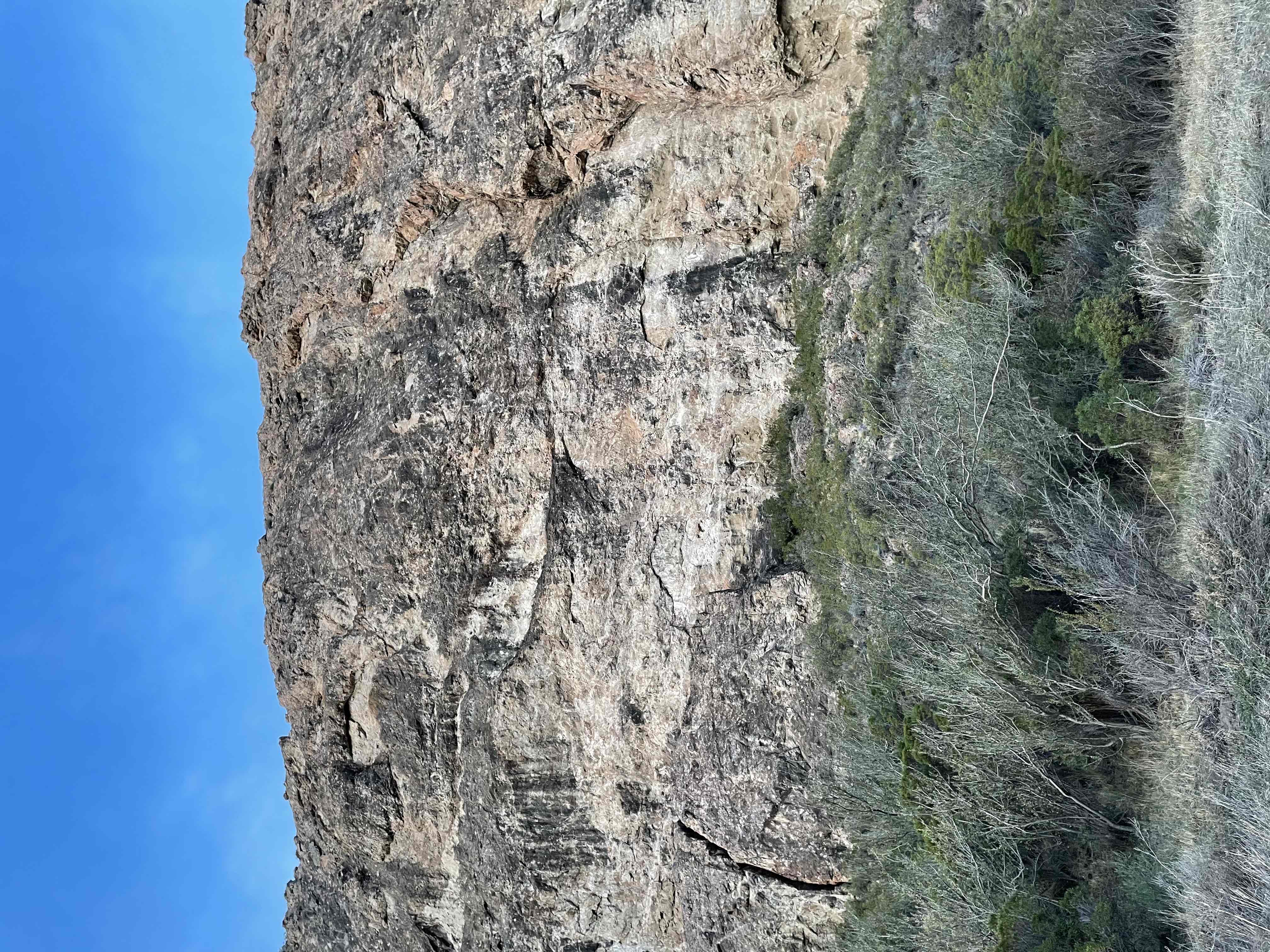 Topo